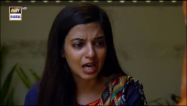 Habs Episode 31 - 6th Dec 2022